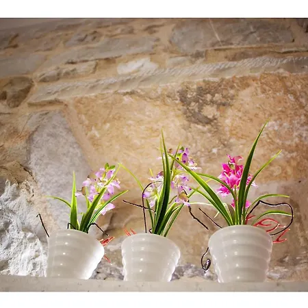 Apartment Amabile