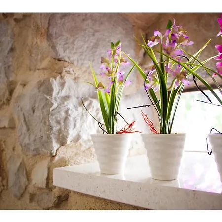 アパート Amabile スプリト